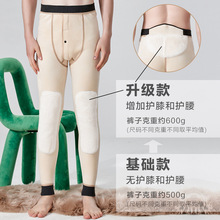 ʿůѝӽqѝﶬӺooϥȴӴaѝ