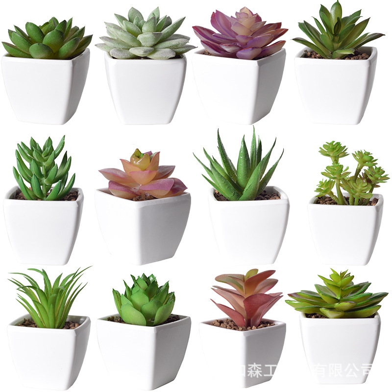 Simulación de plástico carnoso bonsai flor falsa combinación oficina interior escritorio plantas verdes pequeños adornos plantas artificiales al por mayor image 6