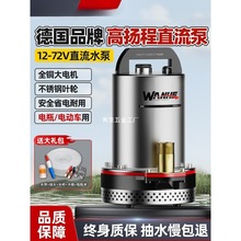 12v��ˮ��72v늄�܇��ˮ���ƿ܇���ó�ˮ���r��ֱ����ˮ��48v60v