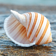 ������Ȼؐ�����ݶ��⻨��[�����߾�ؐ�~�ľ�з��Q���~���쾰