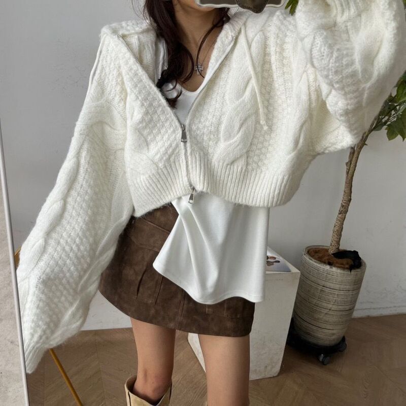 Korean-Style Thick Cable-Knit Hooded Cardigan for Women, Autumn and Winter Retro Double-Zip Batwing Sleeve Short Sweater Coat