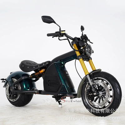 Elektrikli motosikletlər Electric Motorcycle City Riding - diamond-green-60v40ah-china-lithium-battery