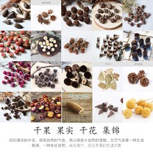 羳ɻԭɹ޻ɏdiyֹ޹ϞTƬbĔz