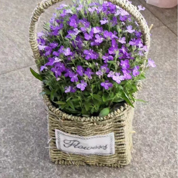 Cestas tejidas a mano de fábrica, cestas para flores, cestas decorativas para suculentas, cestas de almacenamiento, cestas florales. image 5