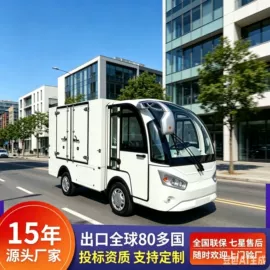其他电动车;电动观光车;库存交通工具