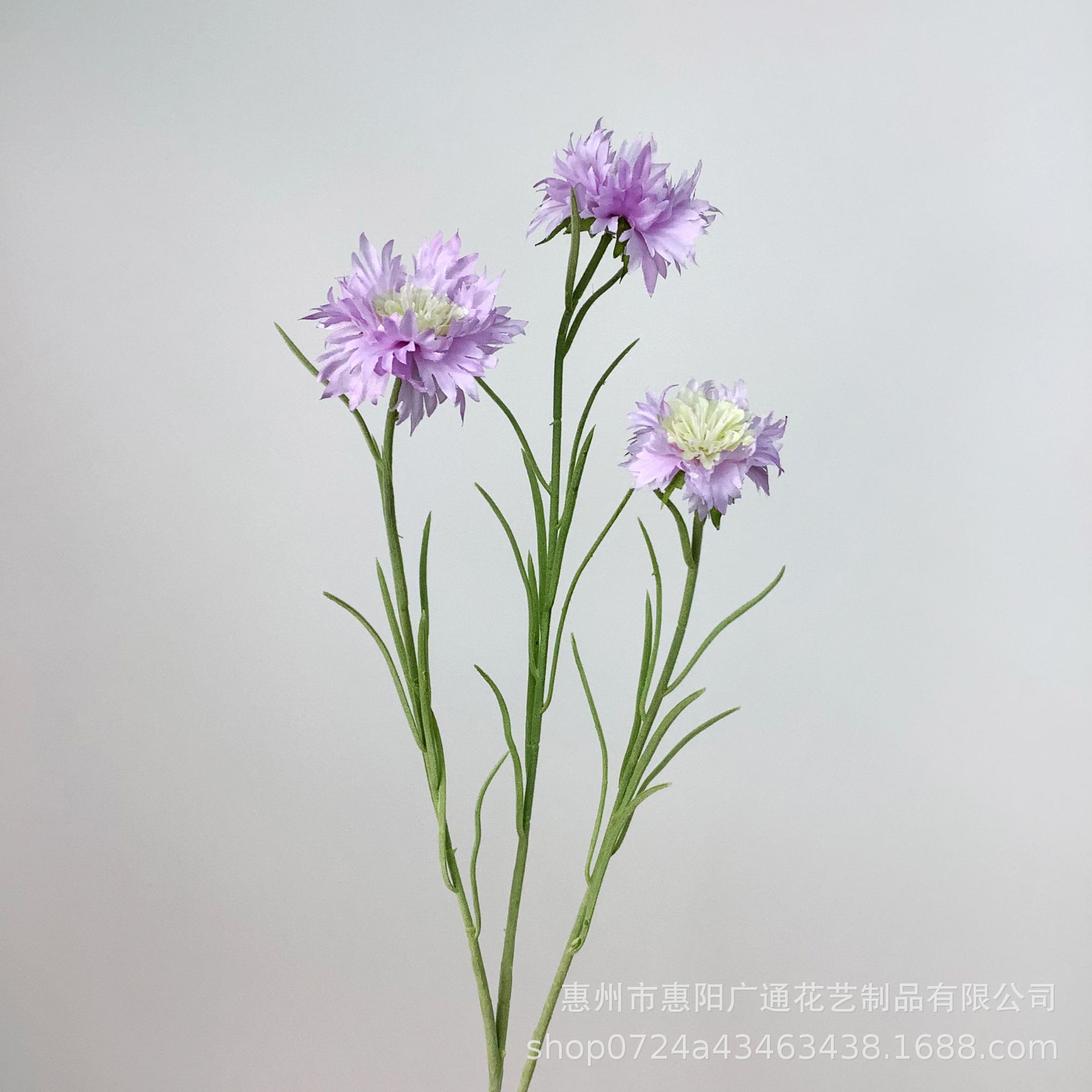 연한 보라색