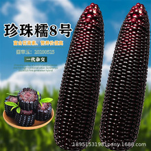 Ŵ׷Nںճ85Ŵ׳ŴƤ߮a