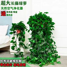 ���҃ȵ��m�G�jˮ�����ȩֲ�����Դ����L���ܷ�ݗ�����l�͏d