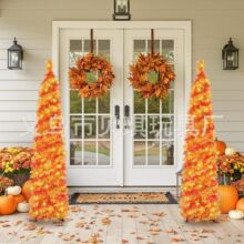 �ж�������b��ۯB�}�Q���pɫ����1.5m���~���չ�ë�l����ز���