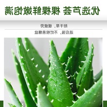 �羳�J�C�����҃ȳ���ȩ�����՚⻨�ܾGֲ�k�������ƶ���ֲ����l