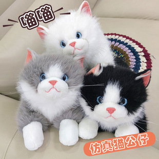 �S��؈؈��żë����ë�q��߷���؈��ż����؈��������Ů���Y��