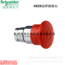 �i��ʽ��ͣ���o�^ZB2BT4C, �tɫ Ģ���^ֱ��40mm��������λ
