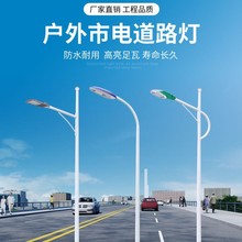 LED市电路灯杆5/6/8/10/12米户外市政高亮100瓦广场中山道路厂家