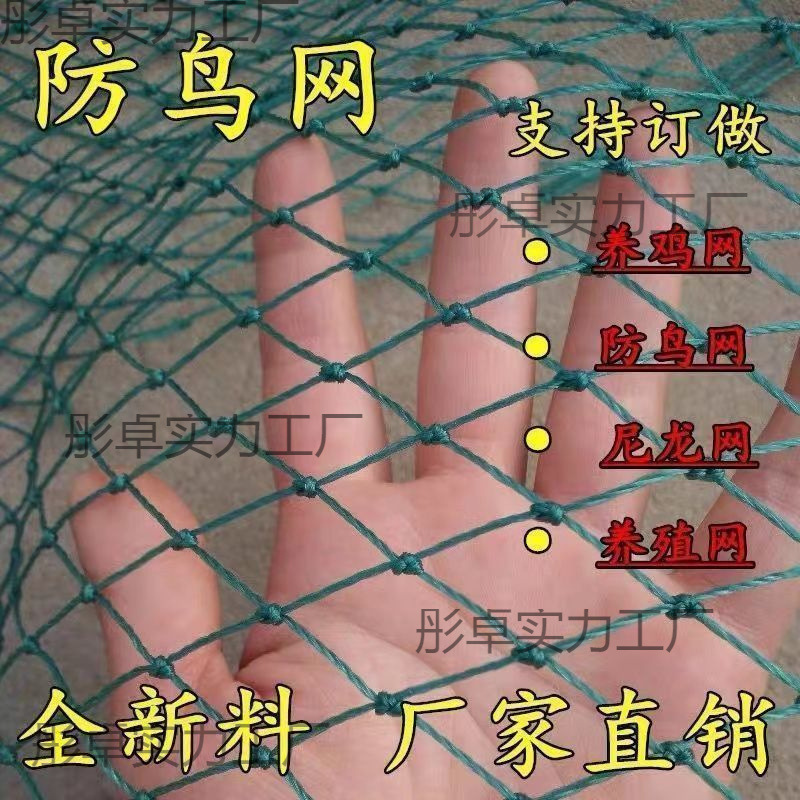 防鸟网新料抗老化大棚通风口鱼塘樱桃天网养鸡围栏葡萄莓防护网