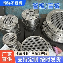 不銹鋼304316L大型篩孔管板法蘭壓力容器鍛造管板大口徑折流板