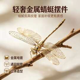 轻奢金色镂空蜻蜓精致立体翅脉小众高级桌面摆件2026新款气质配饰