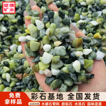 绿色石子丹东绿石头胶粘石水洗石水磨石骨料地坪铺路碎石彩色石子