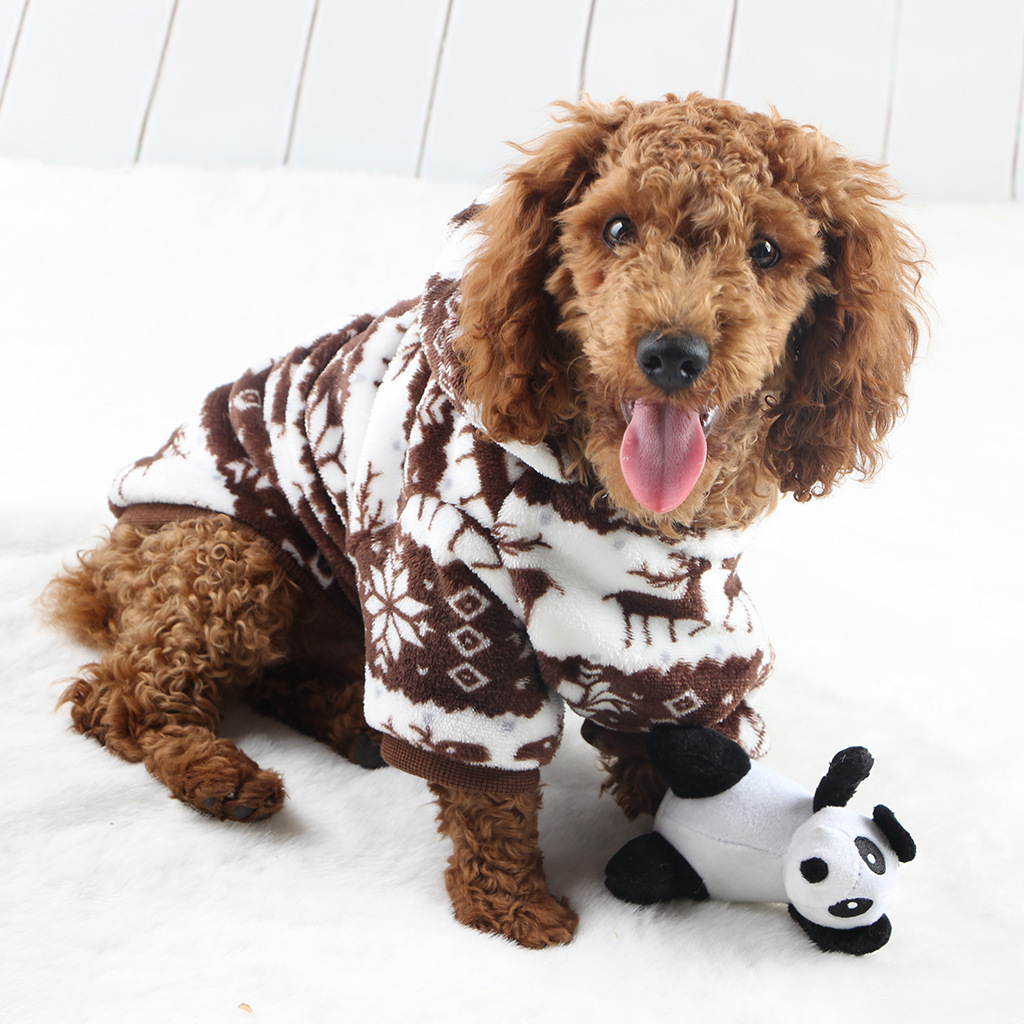 11007764693_1061075933