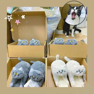 �W�t�{؈����Ь����ë�q���Ȍ��������K�������Ь�ɐ۱�ůë�qЬ