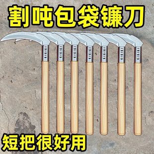 �������z����݆̥���ߌ��õ���݆̥�¿�砵�݆̥�����ظ��h��