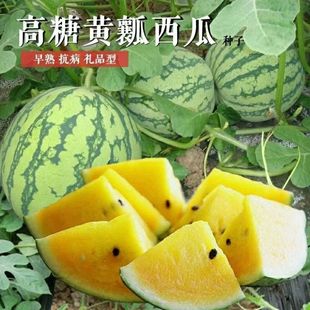 �S�������ϷN���������S�ı�Ƥ�������Sȿ�ͻ�Ƥ�r�����ϷN��