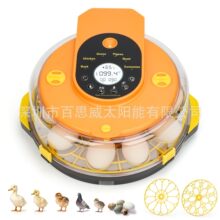 �羳����С��������ȫ�Զ�������С�ͼ����������ͯ��������ó