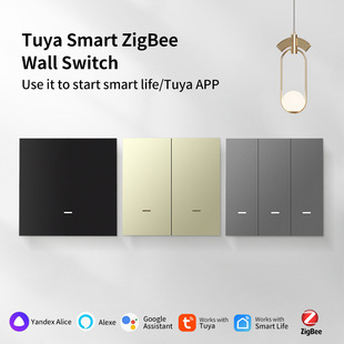 Tuya App Controls Zigbee Socket Panel, Supports Amazon Composite Voice Zero-Fire Whole House Global Use