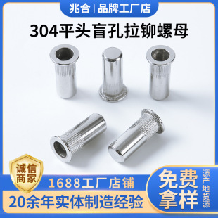 304���P�ƽ�^ä�����T��ĸ ä���Q�y�T��ĸ ƽ�^��ˮ�T��ĸM3-12