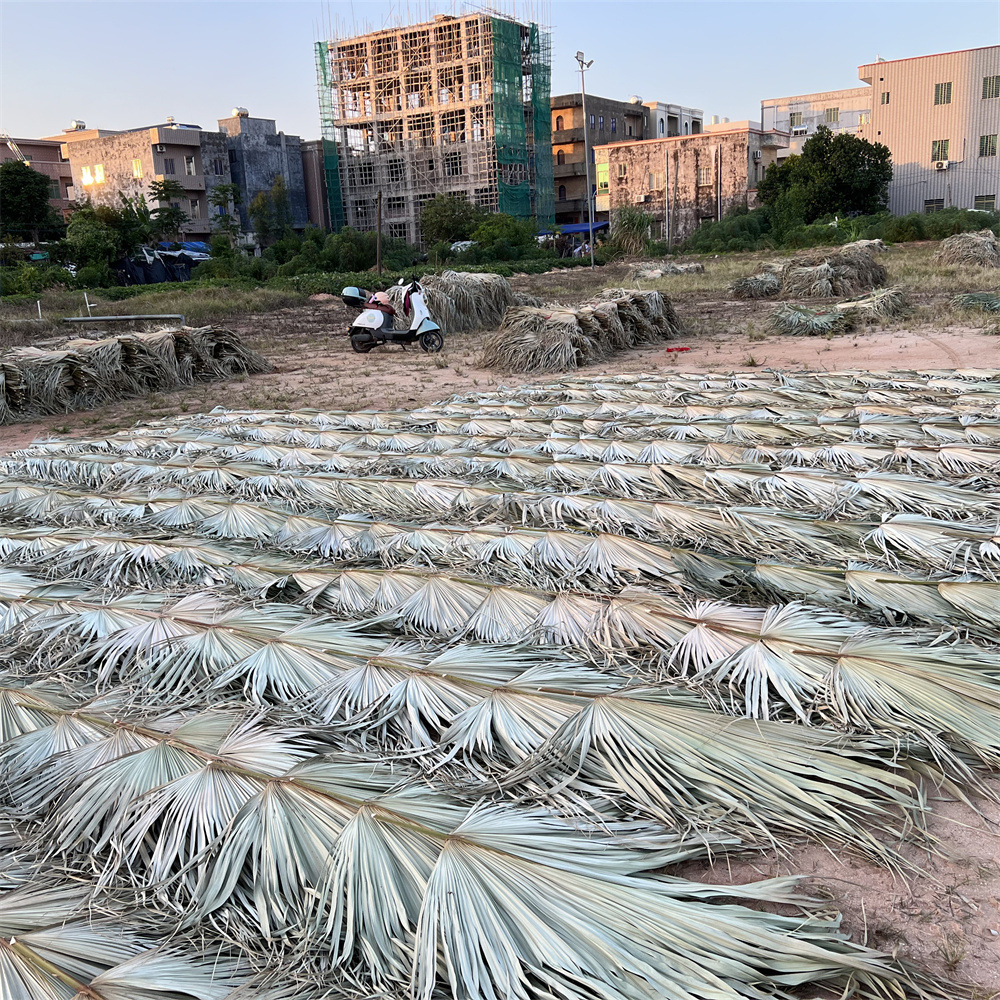 Los fabricantes de hojas de la flor seca de la hoja de la palma de la planta de hoja de la flor seca de la hoja de La Palma