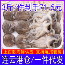 新鲜鲜活冻八爪鱼野生长腿大八爪鱼章鱼大爆头巴蛸墨鱼冷冻火锅