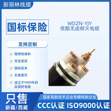 定制WDZN-YJY低煙無鹵阻燃耐火3到5芯10到70平方國標銅電纜線加工