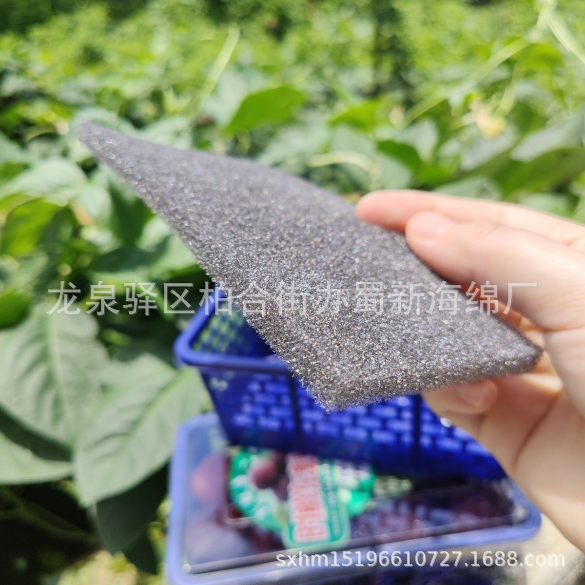 厂家供应各类水果垫片海绵/薄海绵片材垫片/水果片材海绵