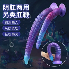 后庭用品;仿真阳具;其他男用