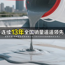东方雨虹防水涂料防水胶补漏裂缝渗水防漏防水胶防水堵漏王可外露