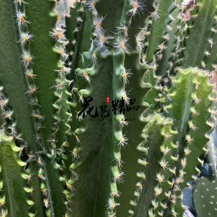 �����������~�����쾰ܛ�b��ˇ�OӋ�廨�ز�΢���^�[�Ż��ܽ���ֲ