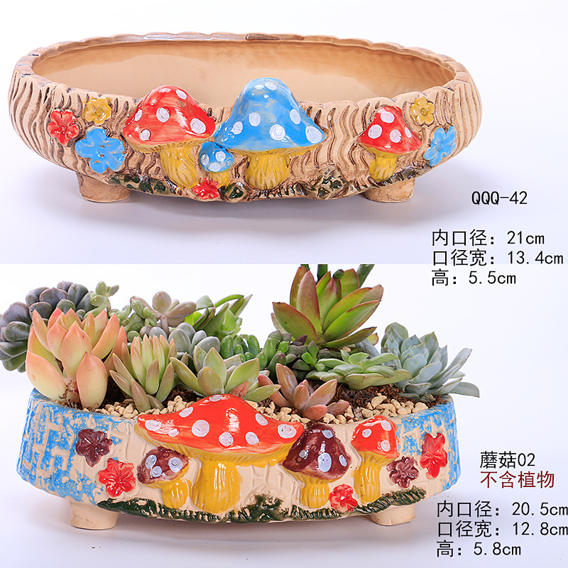 Set de dos piezas para hongos 01 - 02