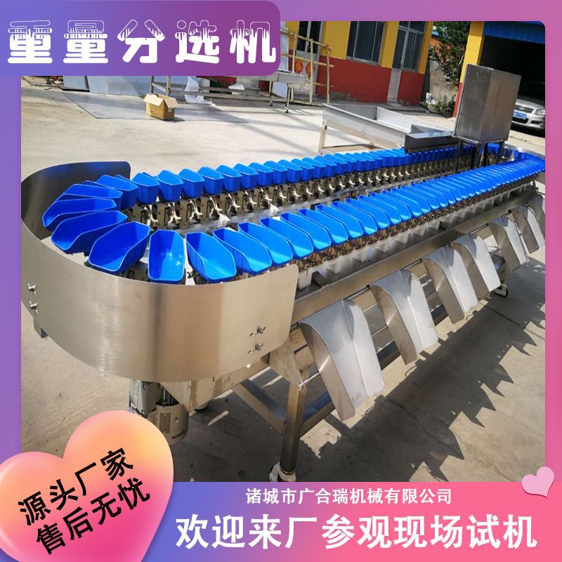 小龙虾重量分选机 海蛎子海参分级机设备 沃柑圣女果火龙果分拣机