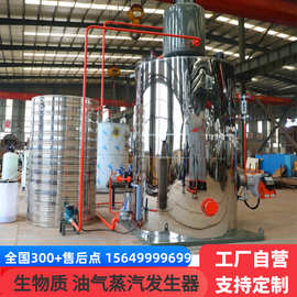 D级2.5吨生物质蒸汽锅炉燃煤蒸汽发生器无需办证无需报检性能稳定