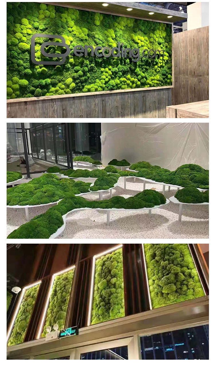 小盒永生苔蘚詳情頁_04.jpg