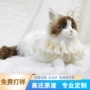 仿真动物园定做定制玩偶