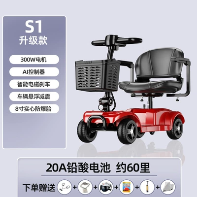 Le Shi Aging Small Household – Qatlanan elektrik velosipedlər - s1-upgraded-to-20a-power-storageabout-60-miles300w-battery-life