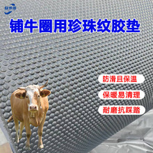 �i����Ȧ�RȦ�_�|8mm���ӊA���A�c����y���z�|����������ĥ�z�|