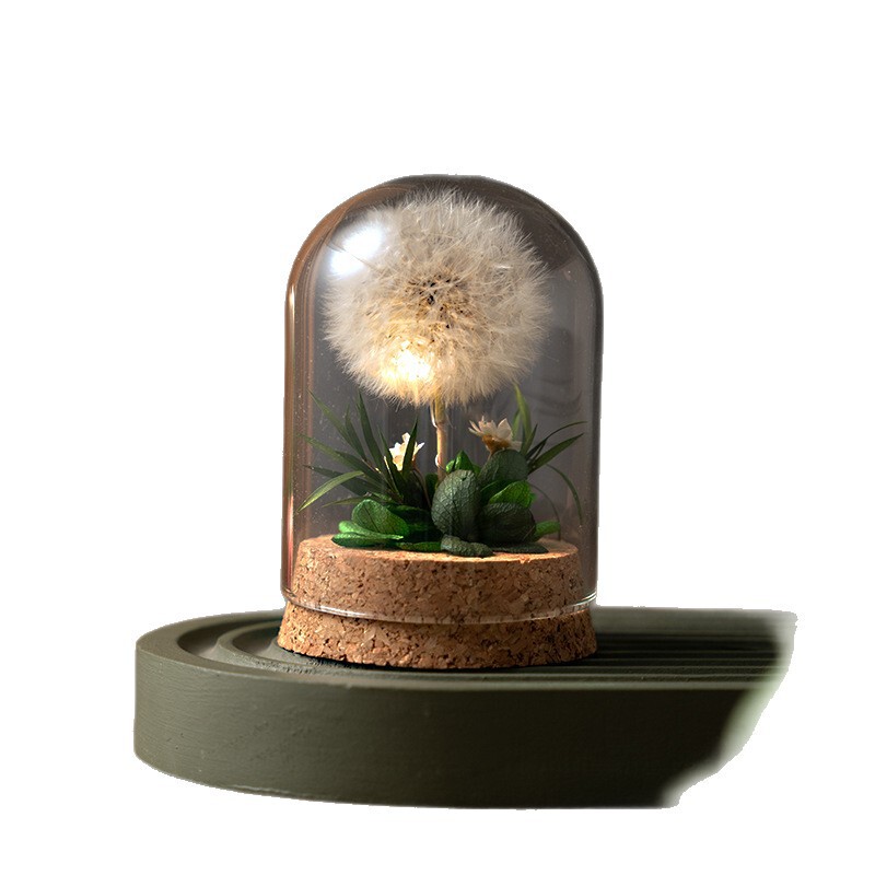 小夜灯蒲公英永生干花束玻璃生日礼物送女朋友情人节教师节礼品|undefined