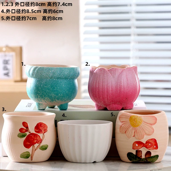 5 simple and beautiful flower pot combinations