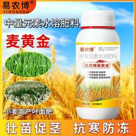 小麦分蘖宝小麦专用麦黄金叶面肥小麦粒粒饱促分蘖生根壮苗抗倒伏
