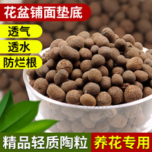 陶粒垫底陶粒土养花专用回填卫生间透气多肉铺面石彩色小陶粒水培