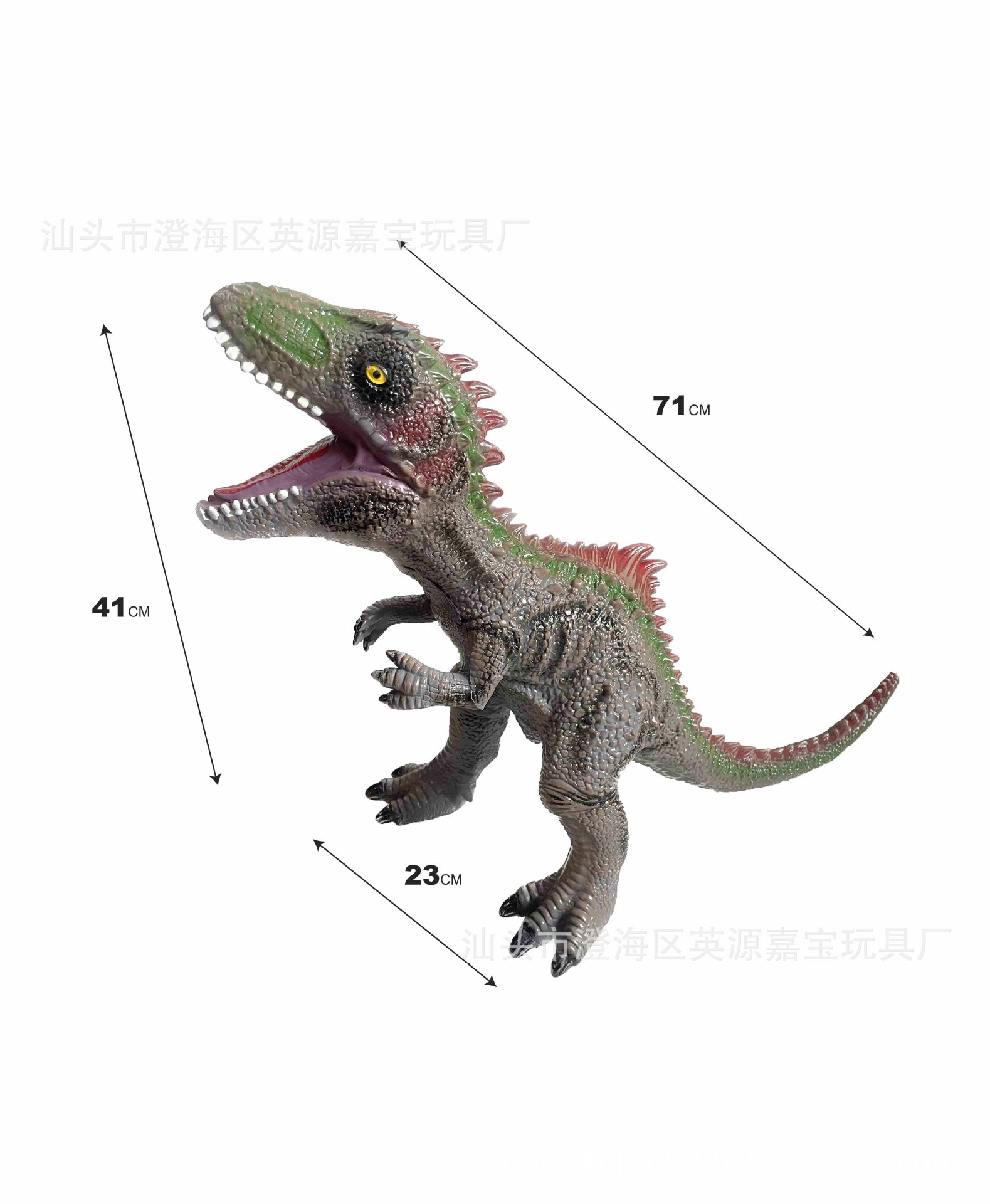 【70 시리즈】71cm 뉴 블랙 남부 베르가못 드래곤