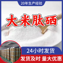 �������� Դ�^���S���I���͑����ϝM��ķ������󃞻�ɽ�|���K