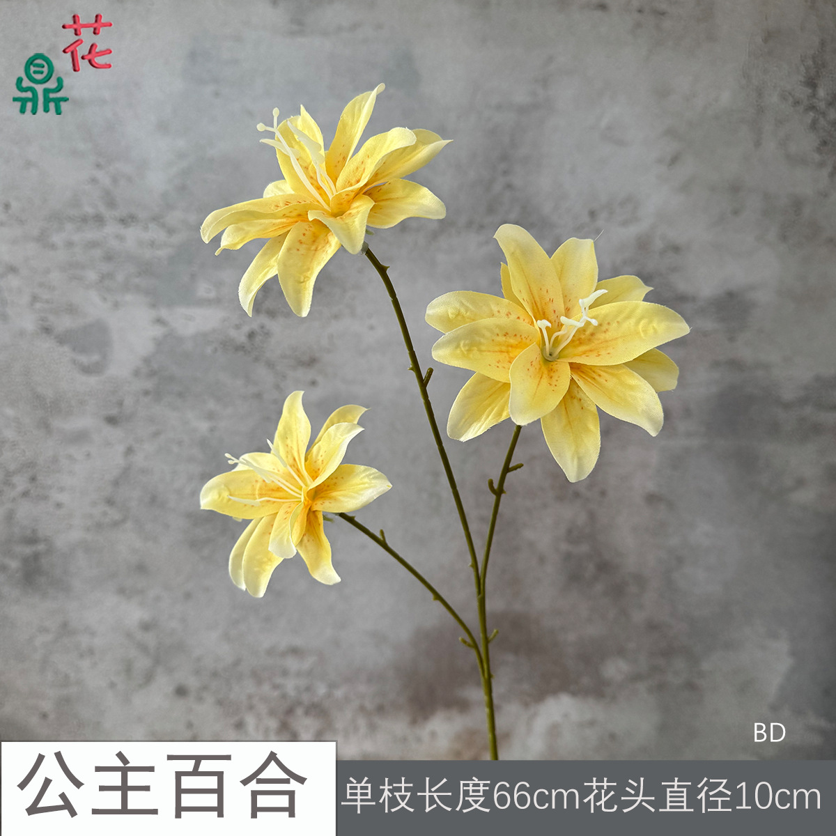 Công chúa Lily BD Vàng