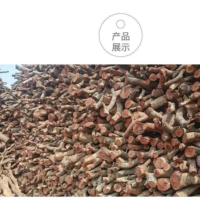 2025-06-30 16:15:55.jpg